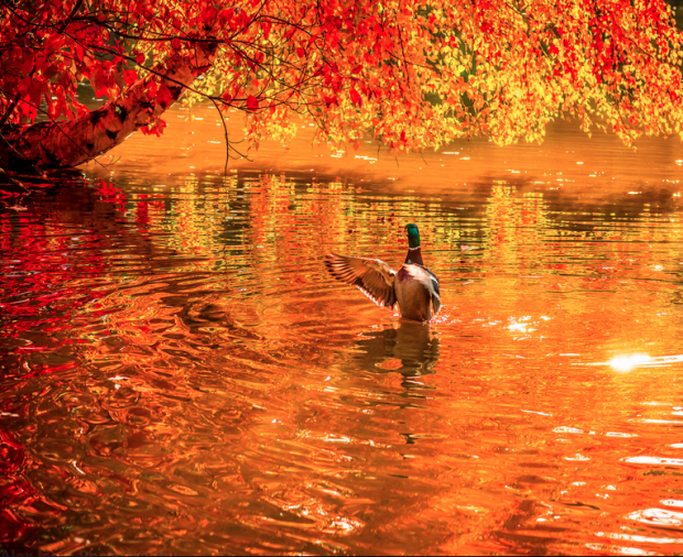 October in Spokane