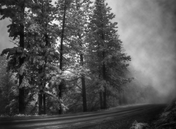 Flickr Roundup // Collect Spokane